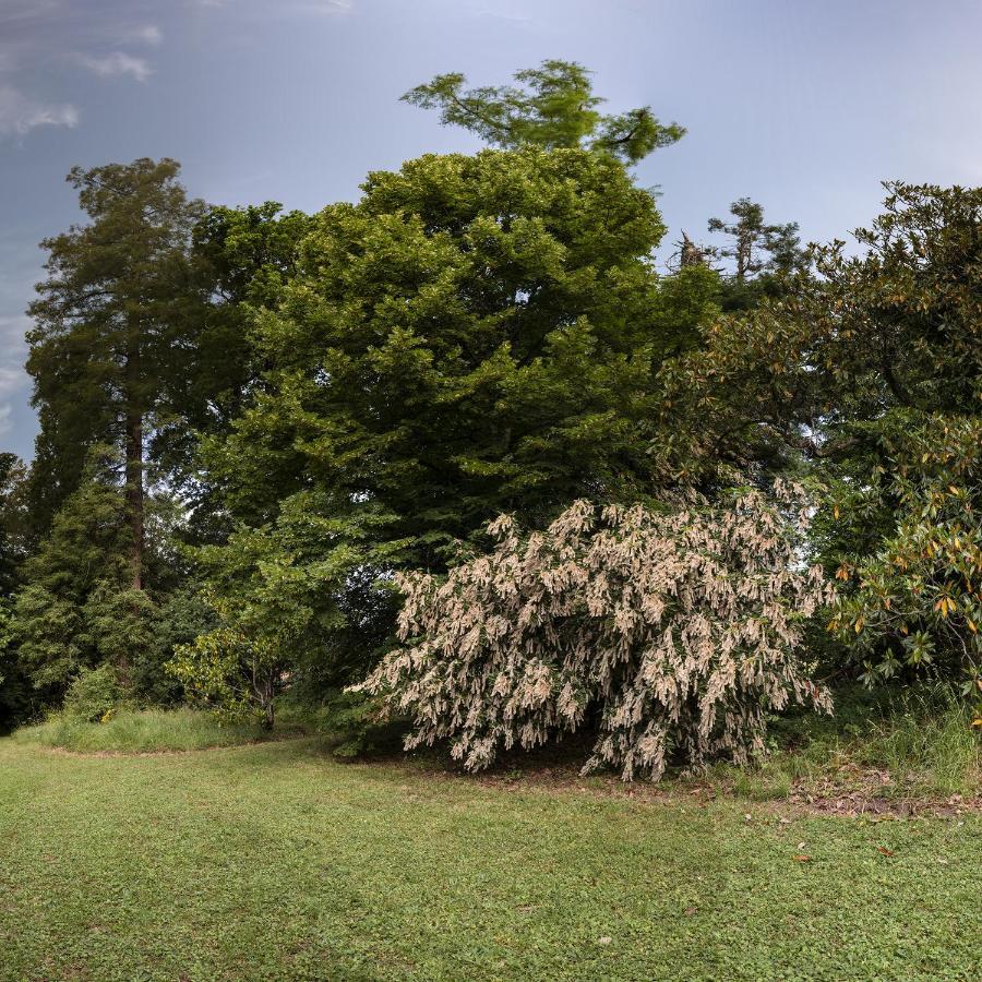 Le Domaine De Langlardie Soudat Bagian luar foto