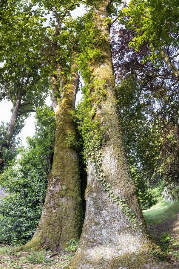 Le Domaine De Langlardie Soudat Bagian luar foto